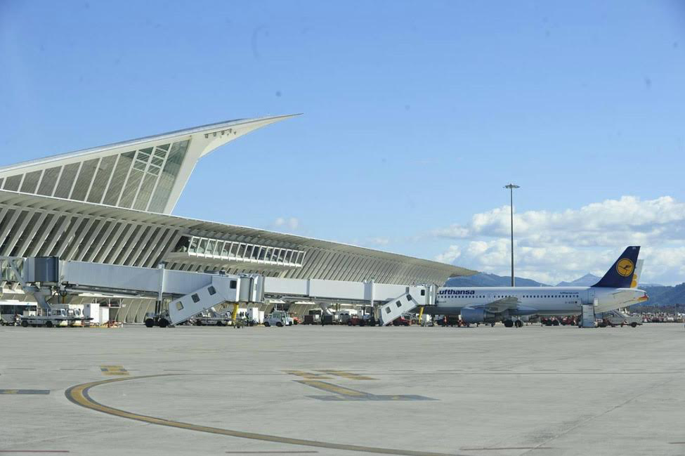 Halcón y Paloma en el Aeropuerto de Bilbao - ilovebilbao.com